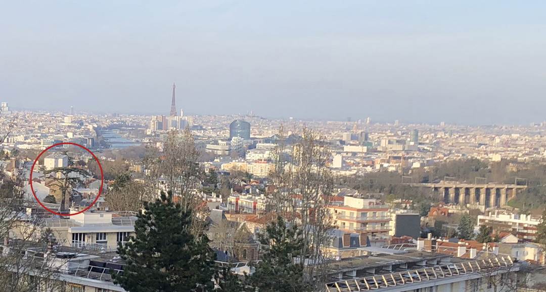 View on the Cedre de Meudon